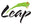 Seeley Test Pros/ LEAP logo