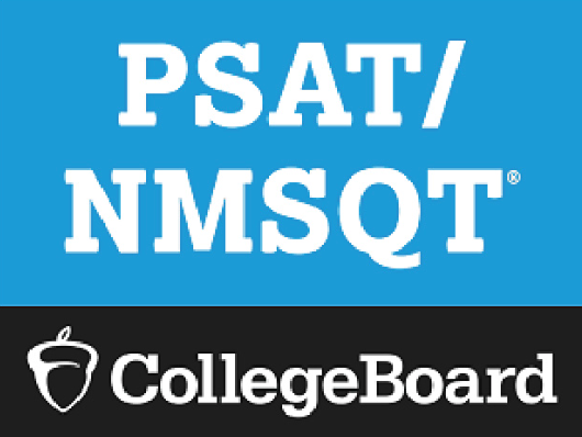 Understanding PSAT Results (Free Webinar)